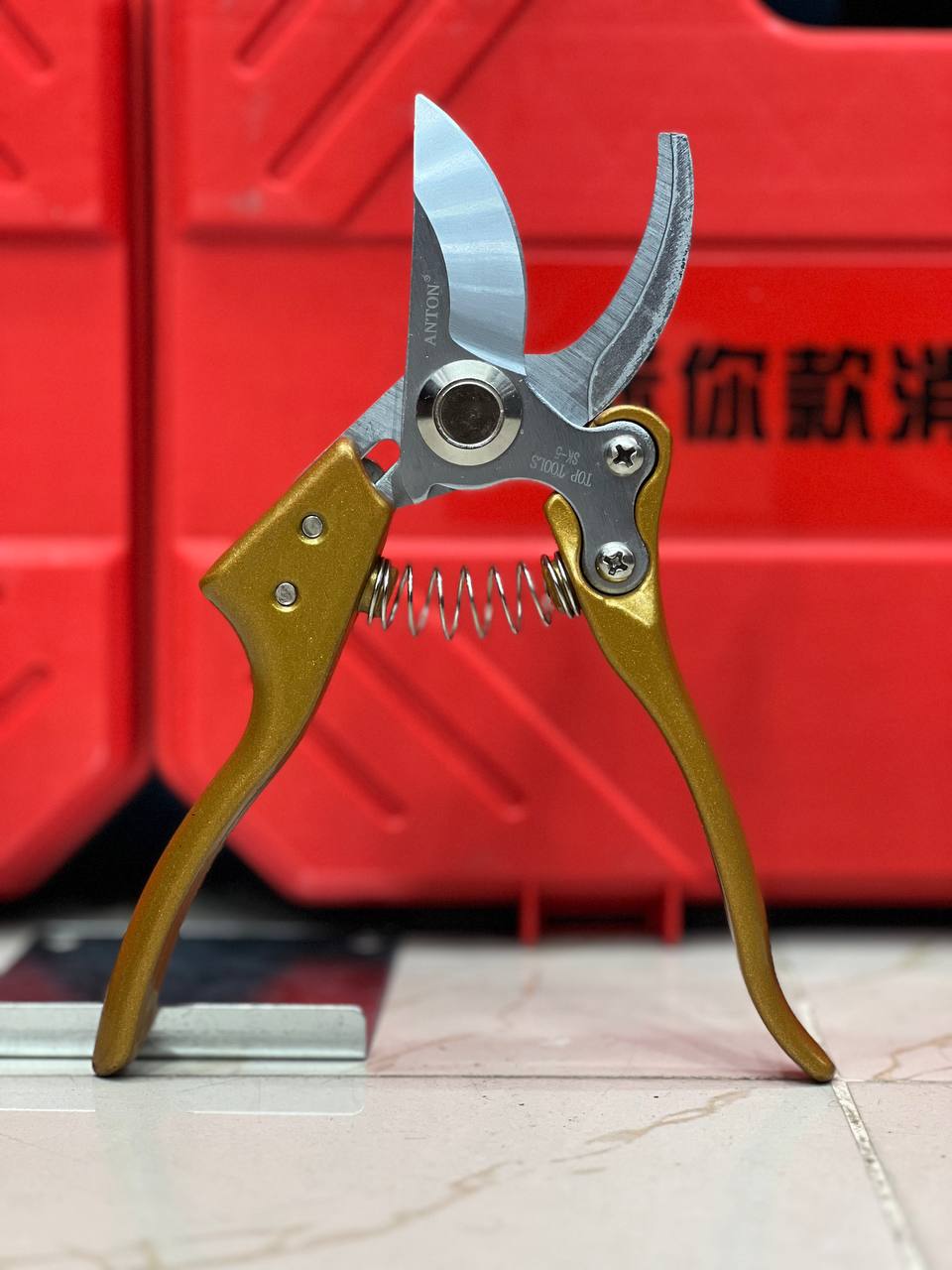 photo_2025-08-21_17-53-38