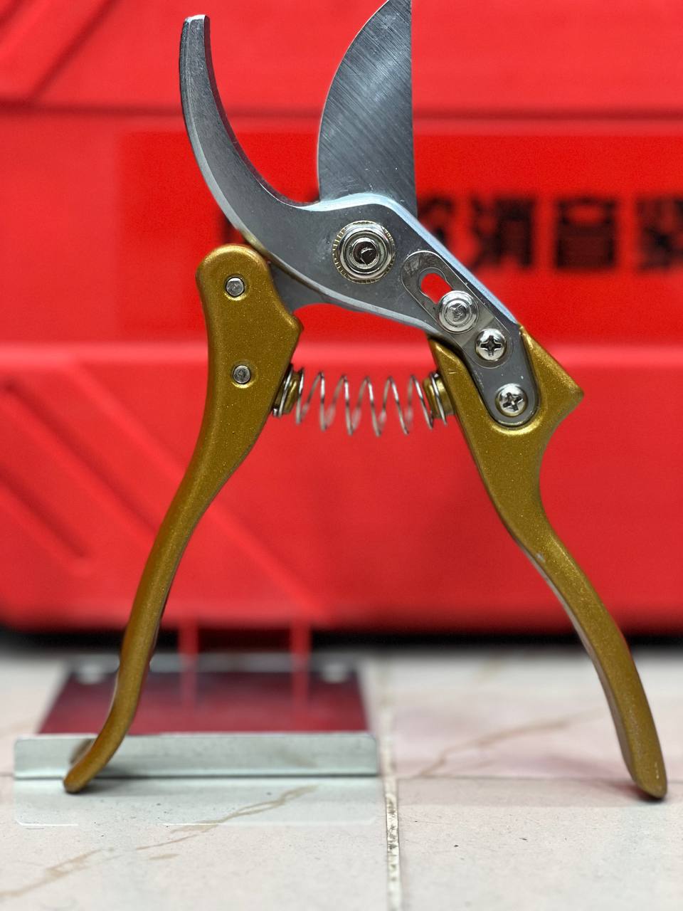 photo_2025-08-21_17-53-40