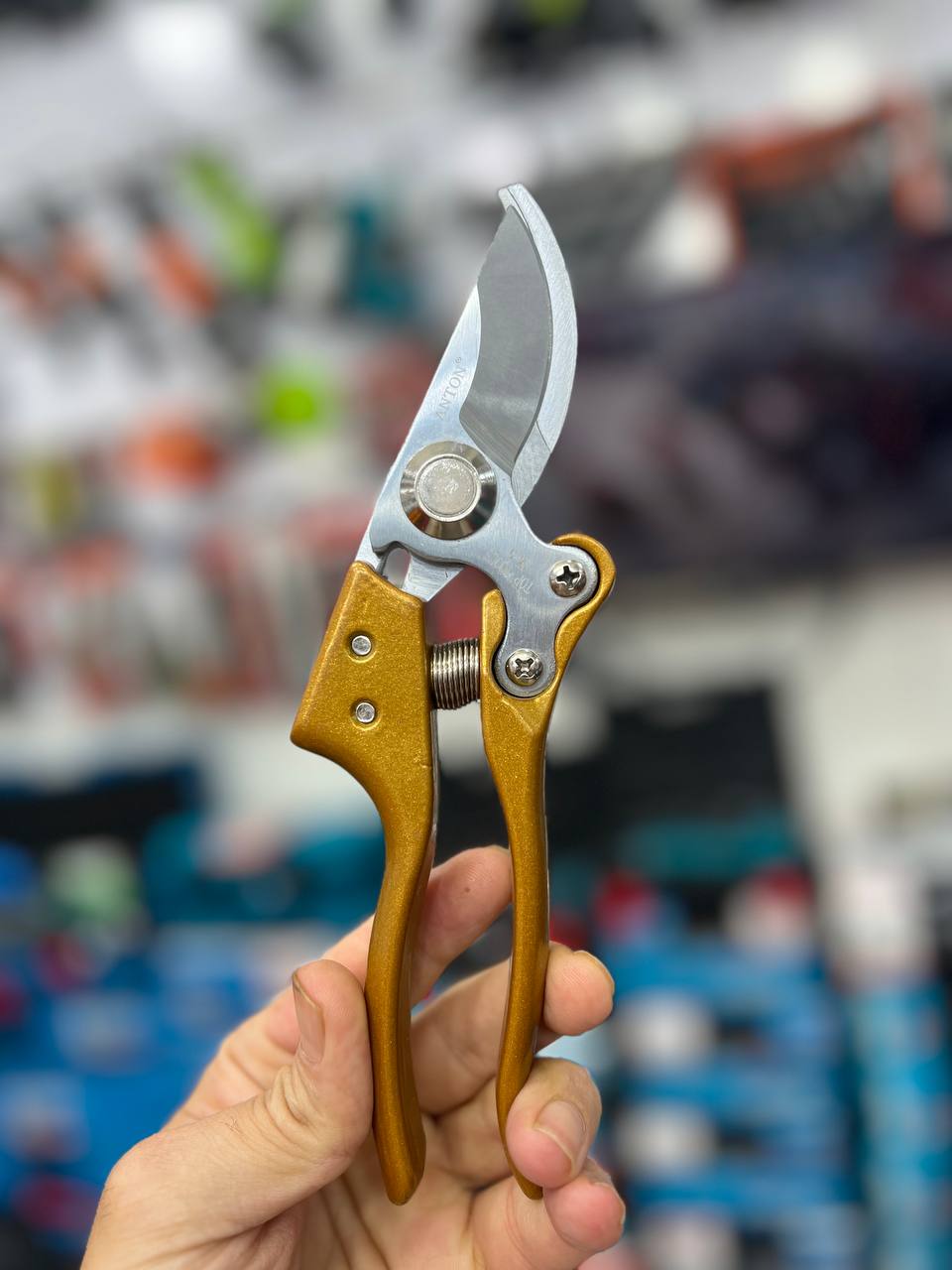 photo_2025-08-21_17-53-42