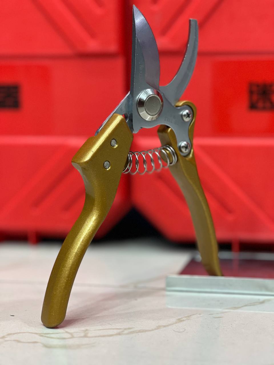 photo_2025-08-21_17-53-44