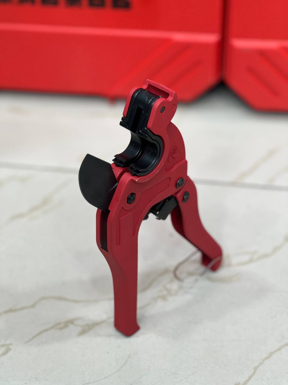 photo_2025-08-21_18-21-55