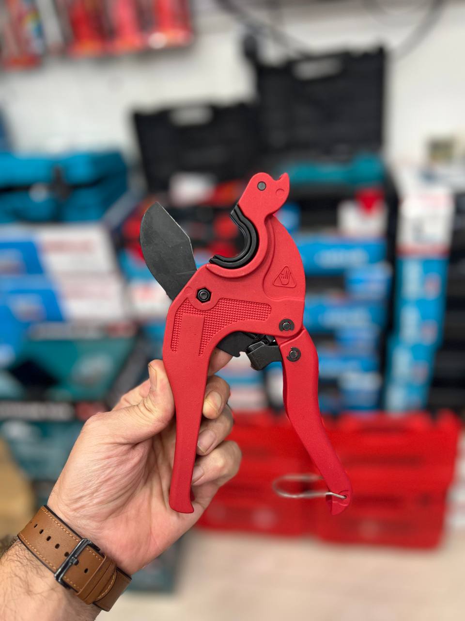 photo_2025-08-21_18-22-01